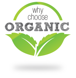 Where To Buy Bulk Organic Food Online Where To Buy Bulk Organic Food Online